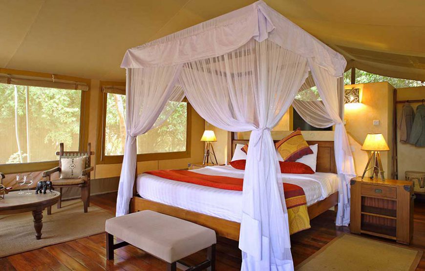 6 NIGHTS / 7 DAYS LAIKIPIA AND MIGRATION SAFARI (GOLD ECO RATED)