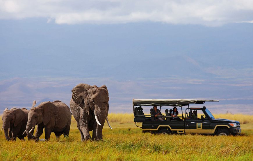 7 NIGHTS / 8 DAYS AMBOSELI AND MARA PLAINS SAFARI (GOLD ECO RATED)