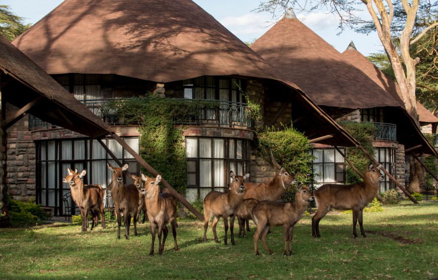 5 NIGHTS / 6 DAYS Active Authentic Experience Safari