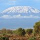 7 NIGHTS / 8 DAYS MARANGU ROUTE