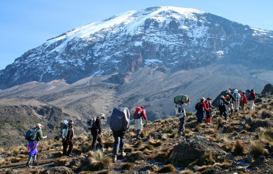 7 NIGHTS / 8 DAYS MARANGU ROUTE