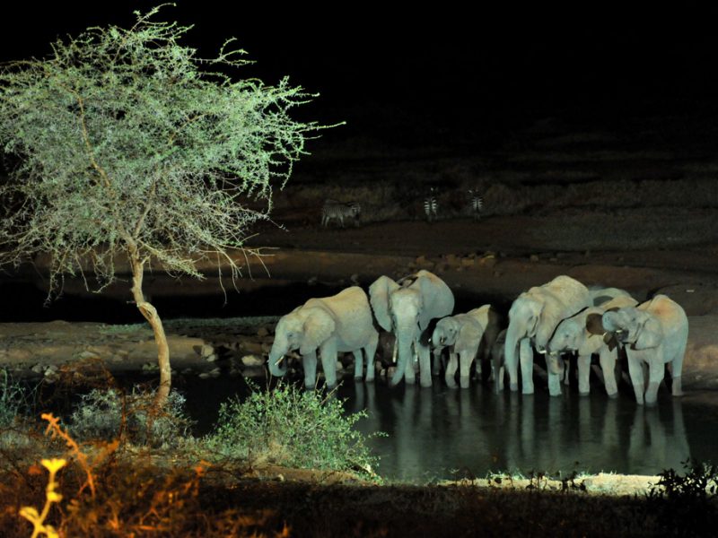 SGR & TSAVO WILDLIFE EXPERIENCE 2N / 3D