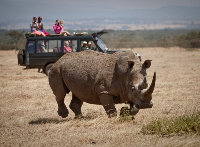 Samburu & OL Pejeta 3N/4D