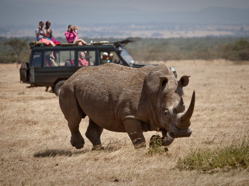 Samburu & OL Pejeta 3N/4D